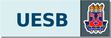 sei acesso externo